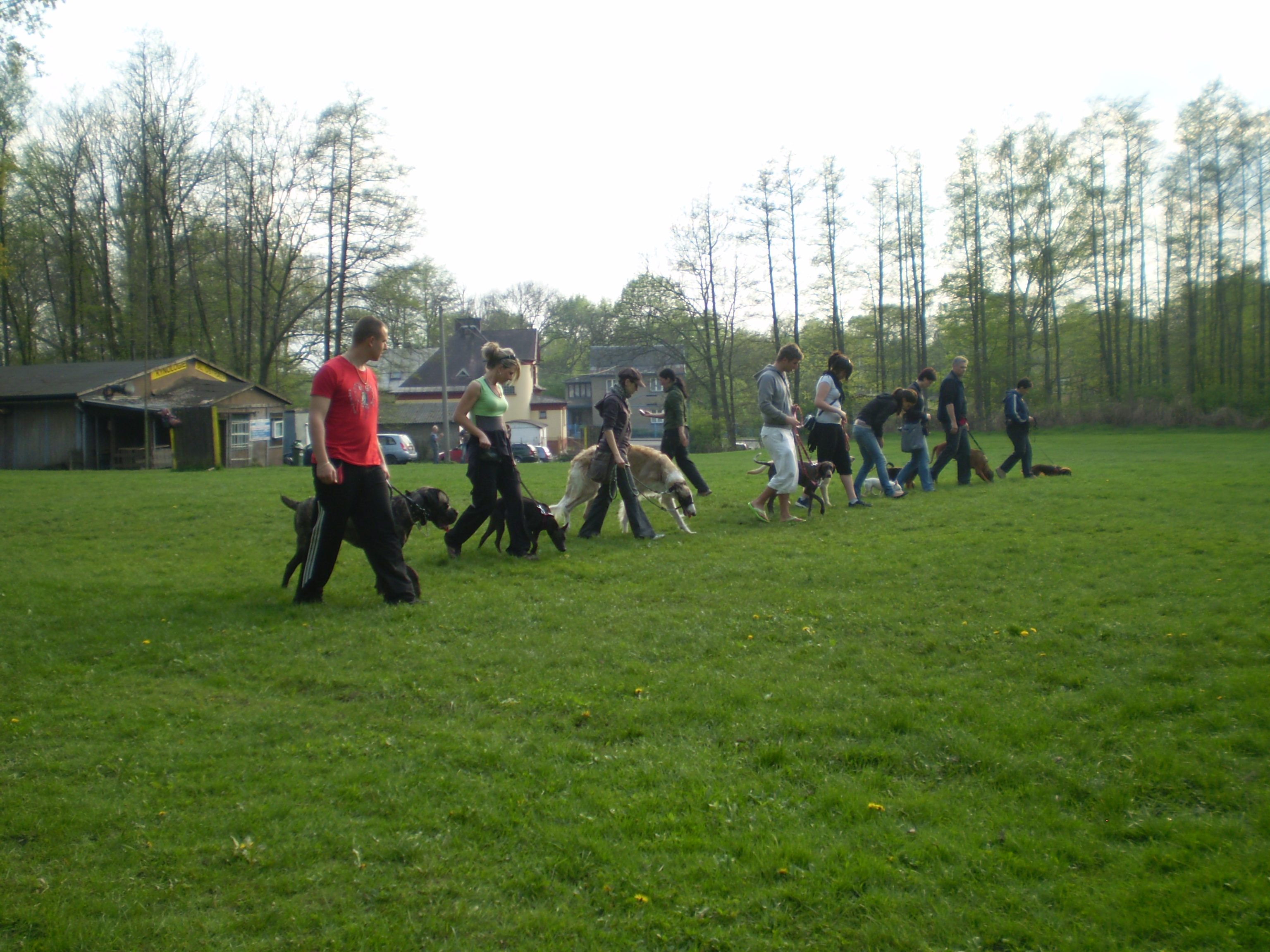 P4290492.JPG